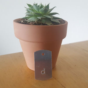 Miniature dog tag initial "d" charm